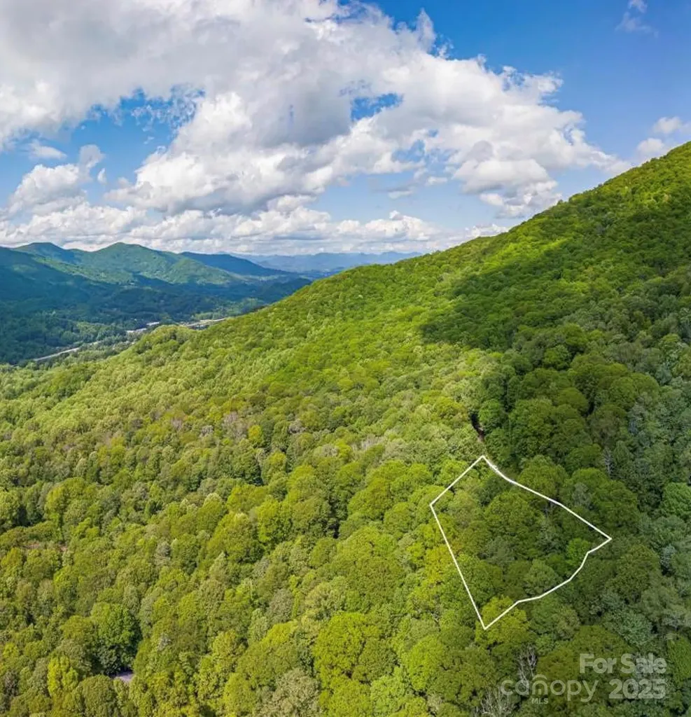99999 Sara Ridge Road Waynesville NC 28786