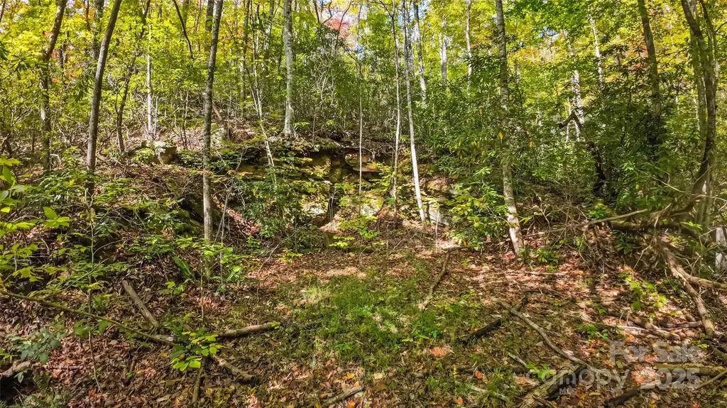 99999 Chastain Road Scaly Mountain NC 28775