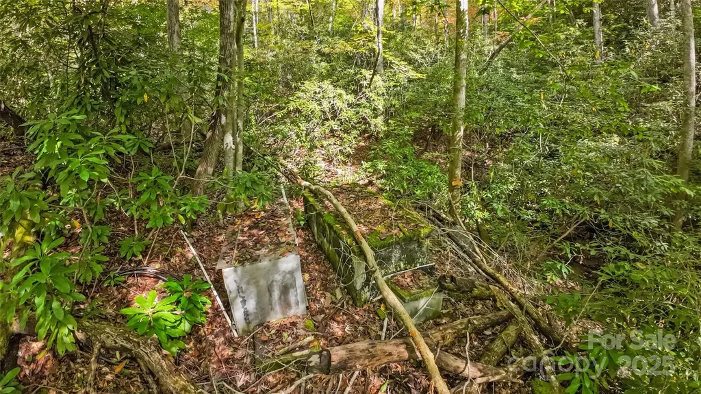 99999 Chastain Road Scaly Mountain NC 28775