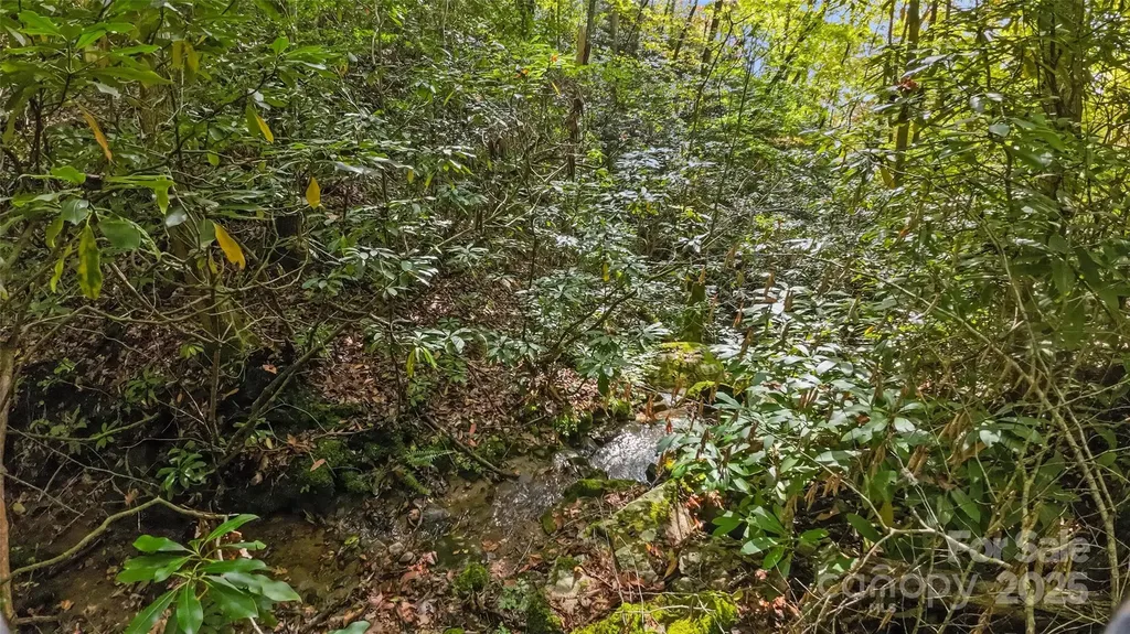 99999 Chastain Road Scaly Mountain NC 28775