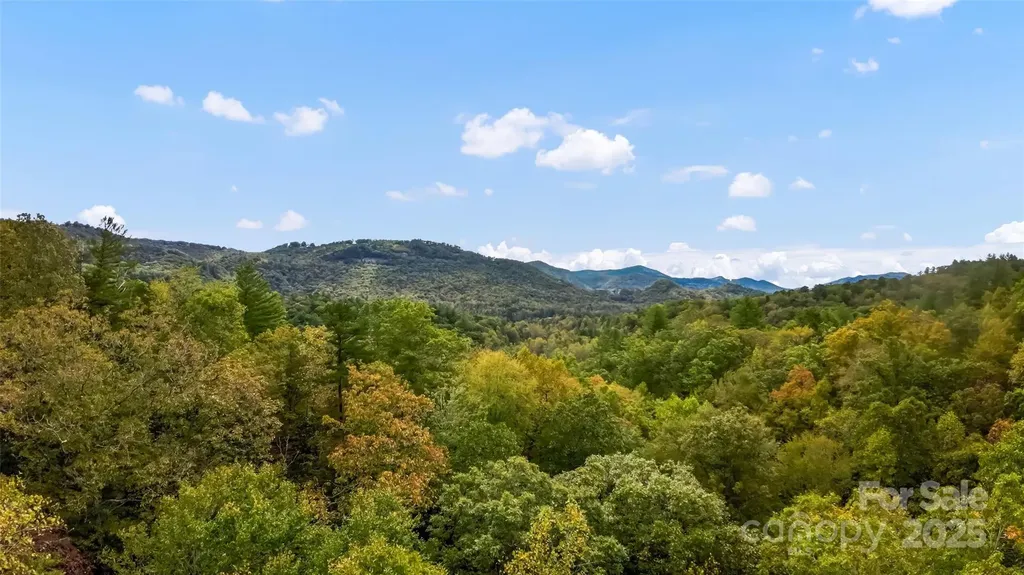 99999 Chastain Road Scaly Mountain NC 28775