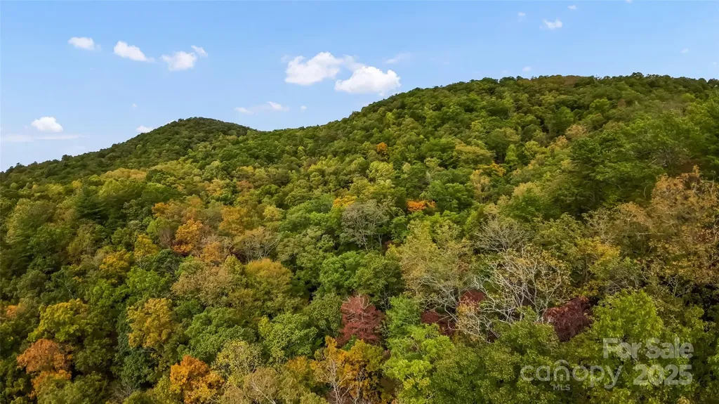 99999 Chastain Road Scaly Mountain NC 28775