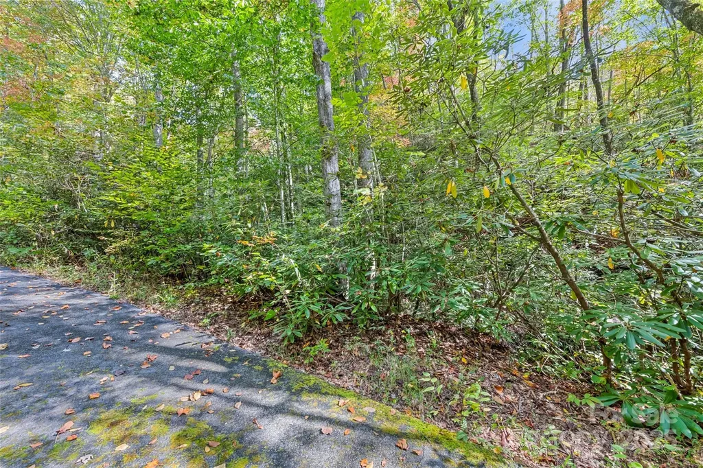 99999 Chastain Road Scaly Mountain NC 28775