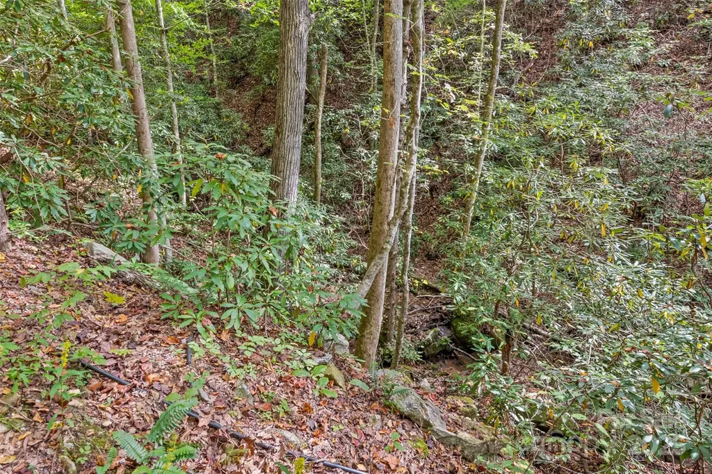 99999 Chastain Road Scaly Mountain NC 28775