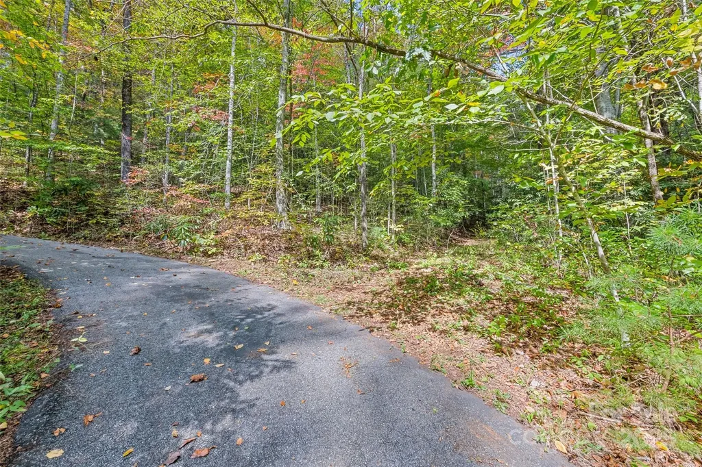 99999 Chastain Road Scaly Mountain NC 28775