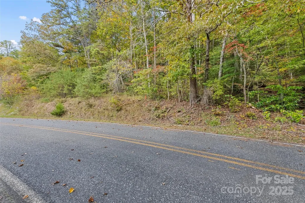 99999 Chastain Road Scaly Mountain NC 28775