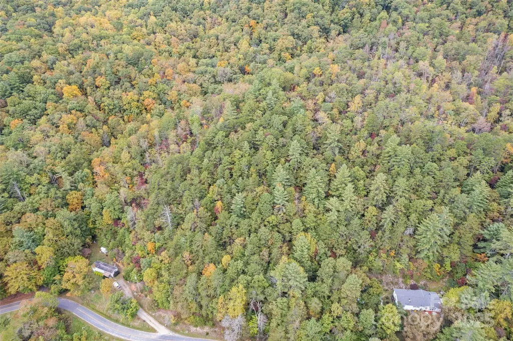 99999 Chastain Road Scaly Mountain NC 28775