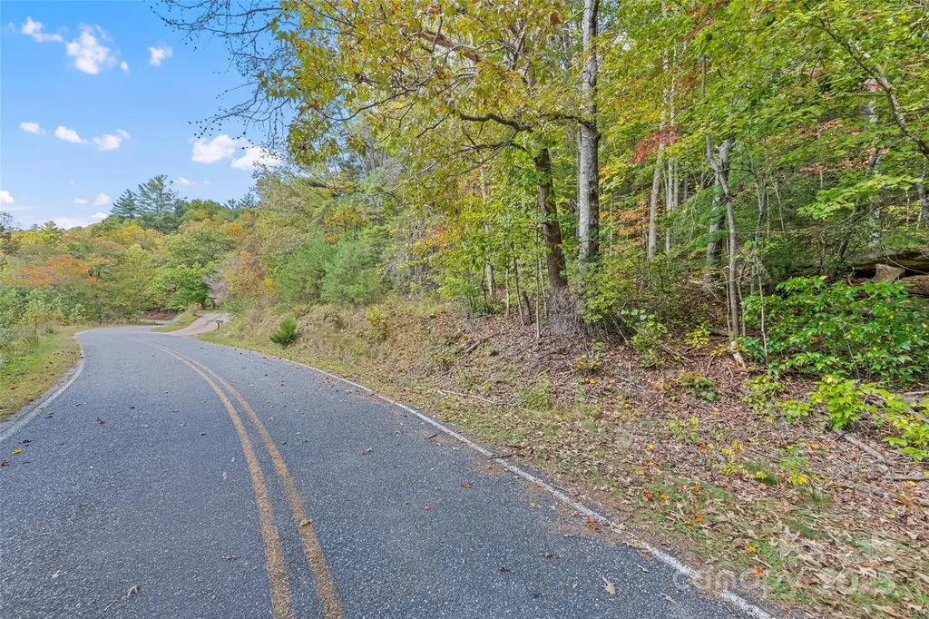 99999 Chastain Road Scaly Mountain NC 28775