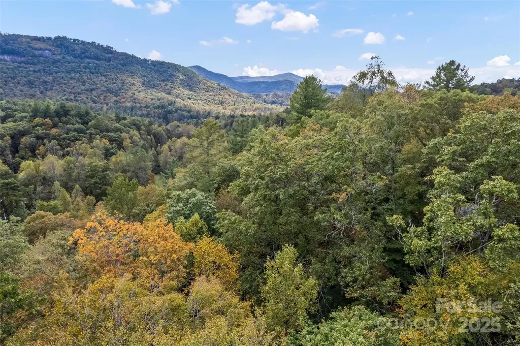 99999 Chastain Road Scaly Mountain NC 28775