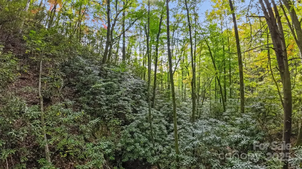 99999 Chastain Road Scaly Mountain NC 28775