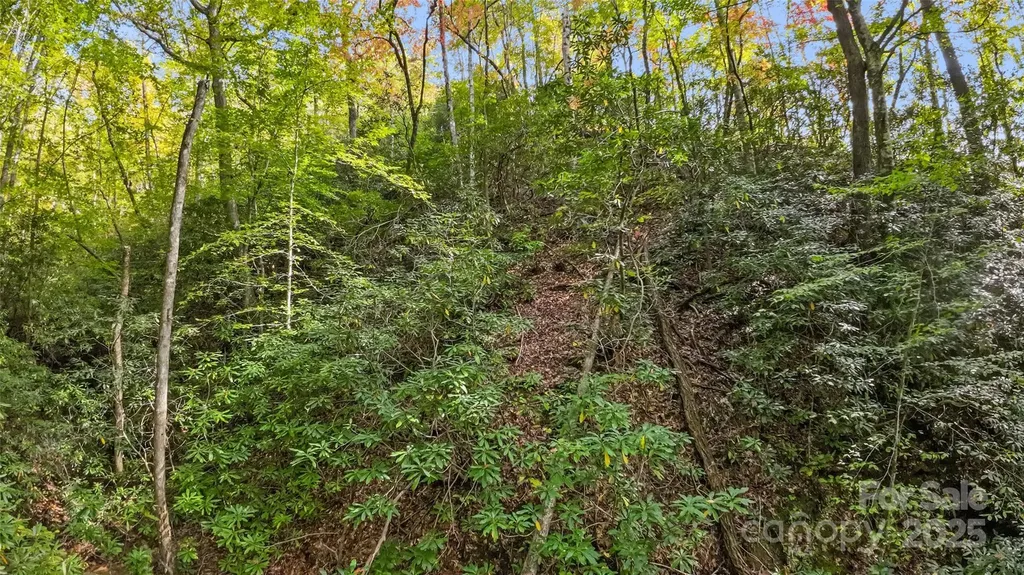 99999 Chastain Road Scaly Mountain NC 28775