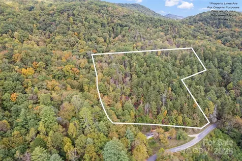 99999 Chastain Road Scaly Mountain NC 28775