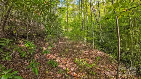 99999 Chastain Road Scaly Mountain NC 28775