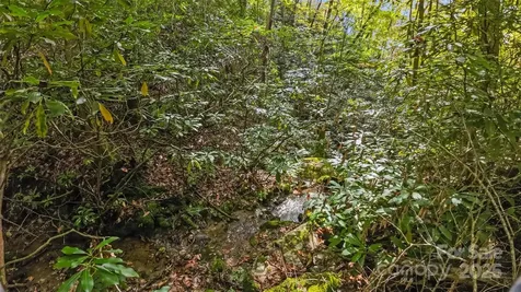 99999 Chastain Road Scaly Mountain NC 28775