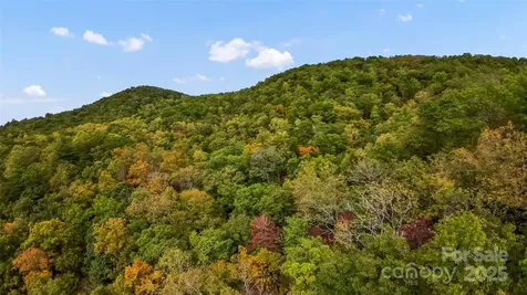 99999 Chastain Road Scaly Mountain NC 28775