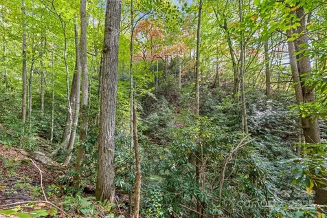 99999 Chastain Road Scaly Mountain NC 28775