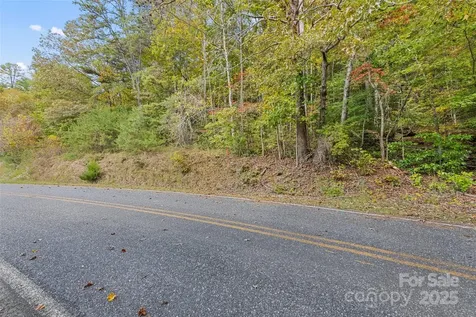 99999 Chastain Road Scaly Mountain NC 28775