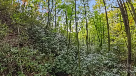 99999 Chastain Road Scaly Mountain NC 28775