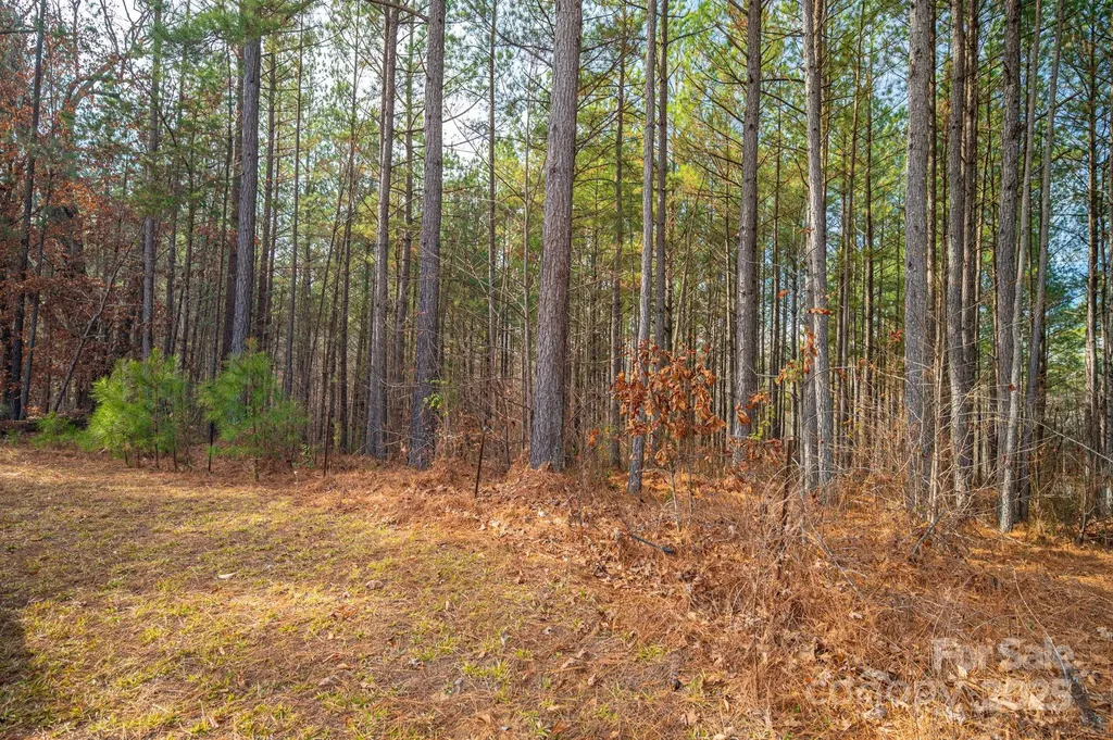 125 Catawba Cove Drive NW Valdese NC 28690