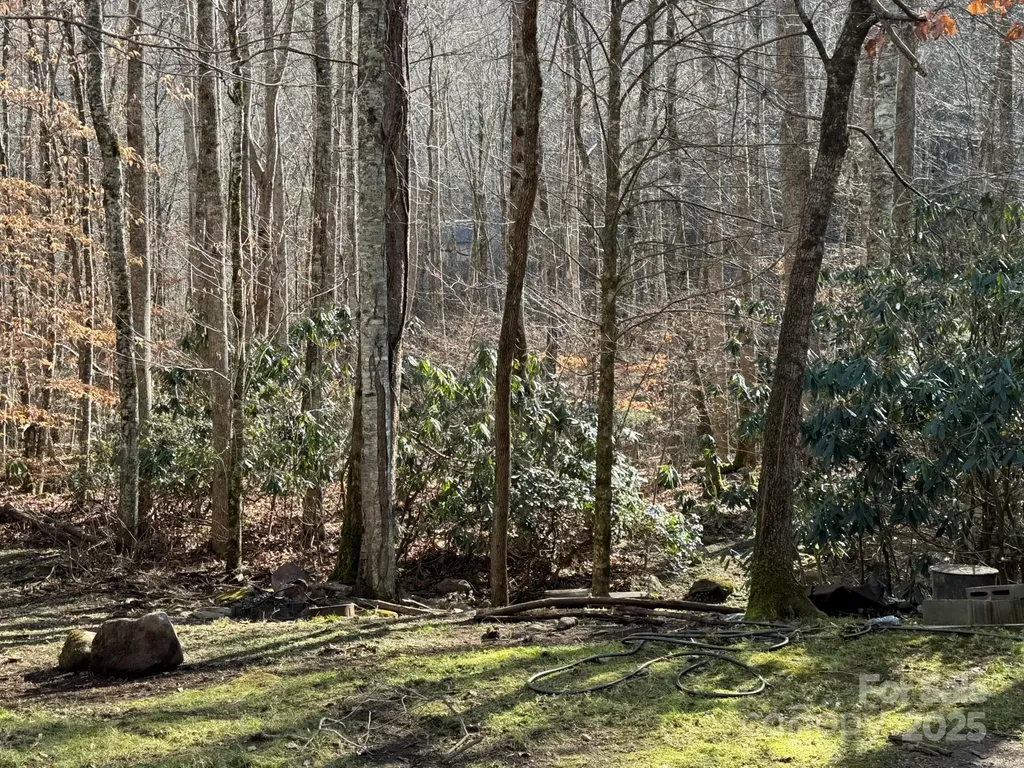 80 Larkspur Lane Cullowhee NC 28723
