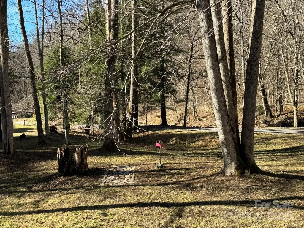 80 Larkspur Lane Cullowhee NC 28723