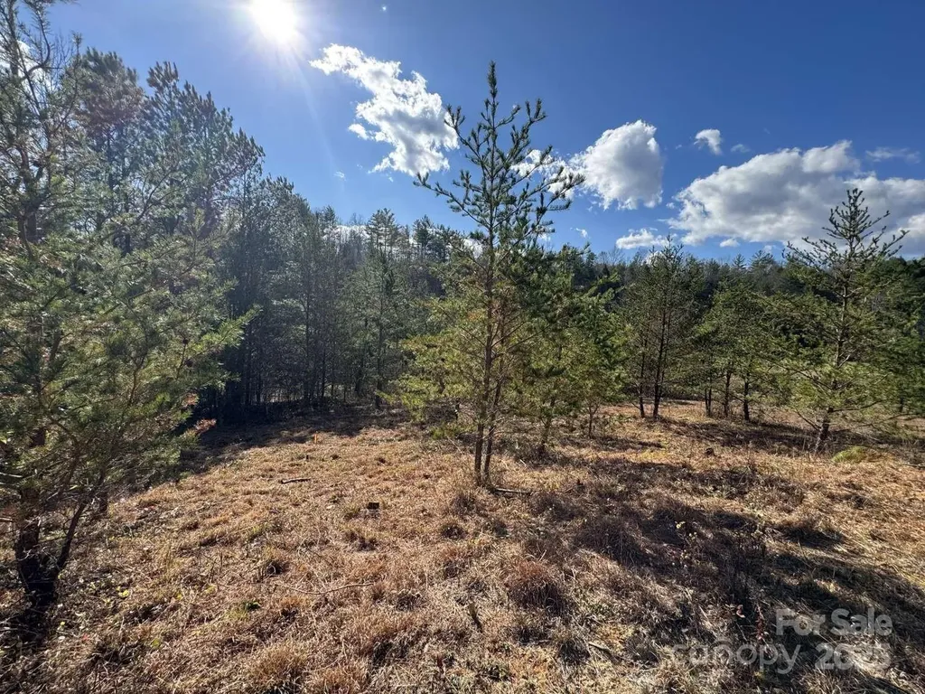 0000 Cypress Trail Lenoir NC 28645