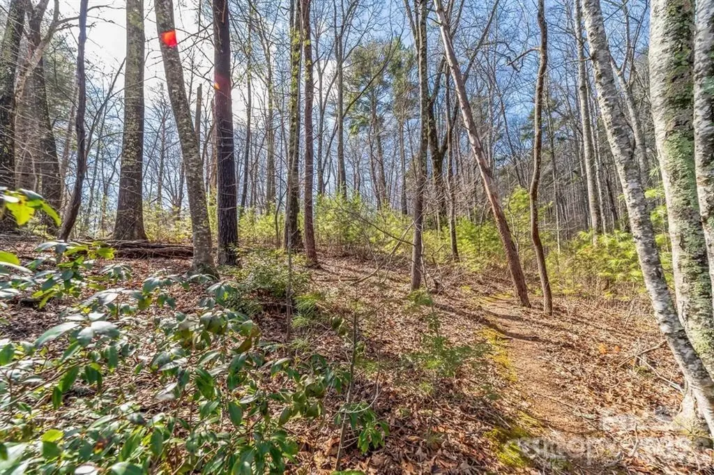 99999 Mill Road Asheville NC 28805