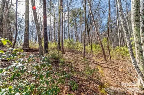 99999 Mill Road Asheville NC 28805