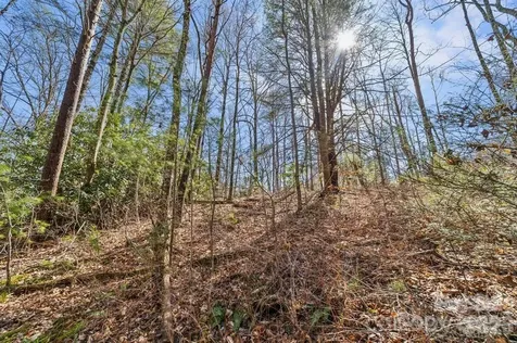 99999 Mill Road Asheville NC 28805