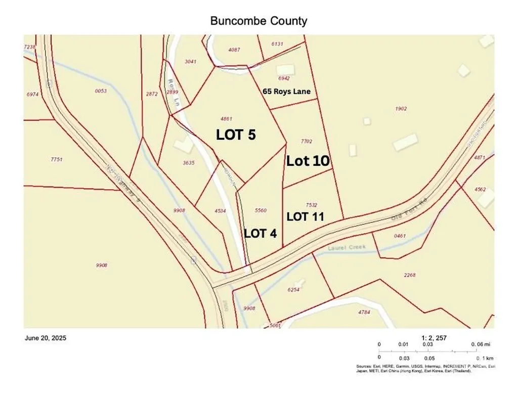 65 Roy Lane Black Mountain NC 28711