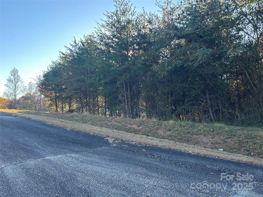 0 Rock Ledge Drive Lake Lure NC 28746