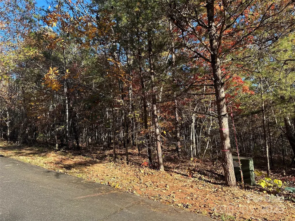 0 Rock Ledge Drive Lake Lure NC 28746