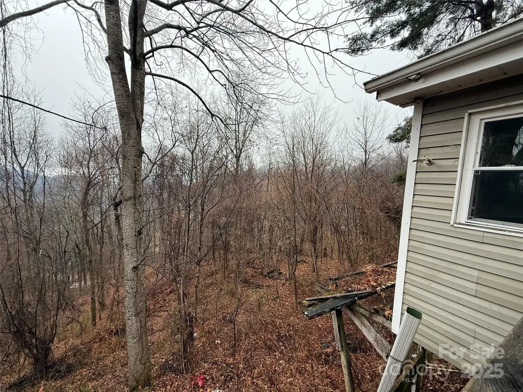 201 Mountain Vista Road Canton NC 28716