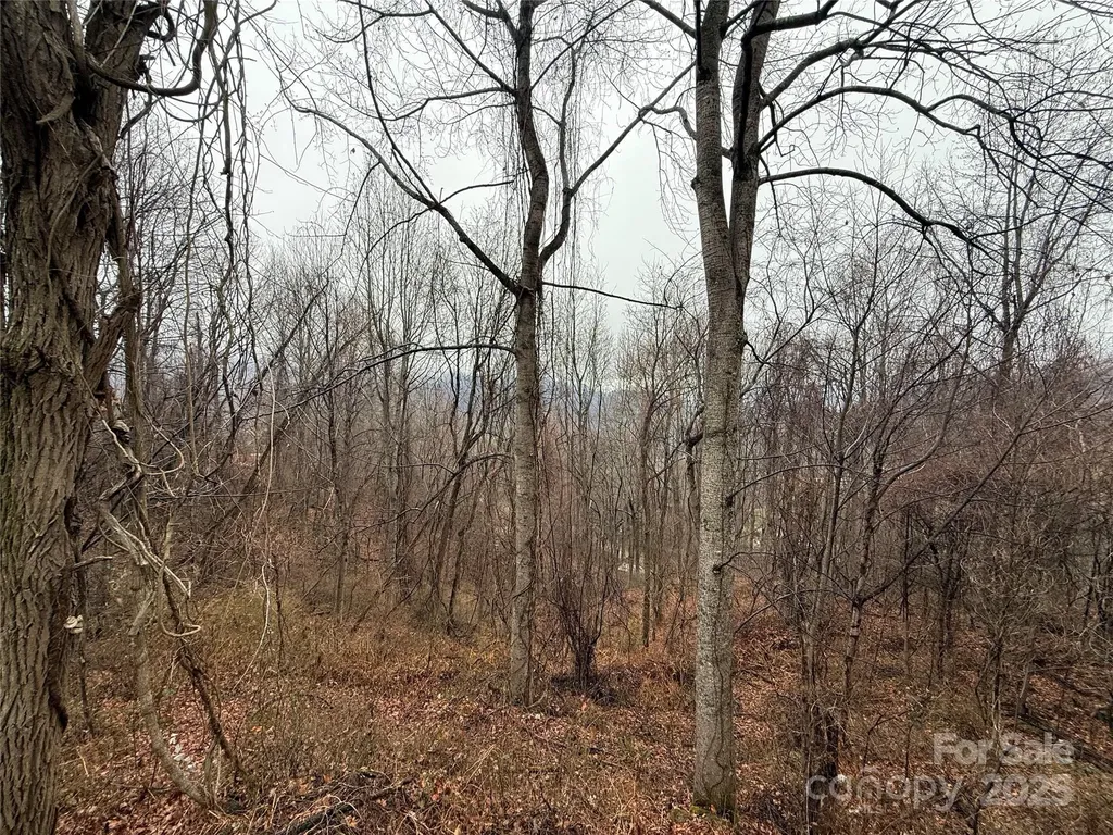 201 Mountain Vista Road Canton NC 28716