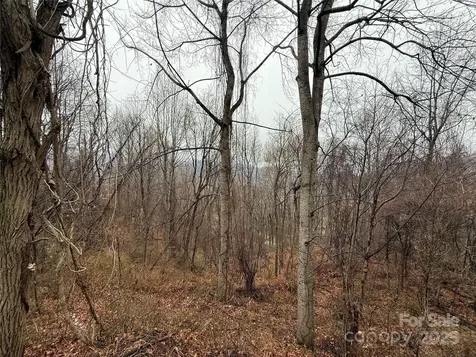 201 Mountain Vista Road Canton NC 28716