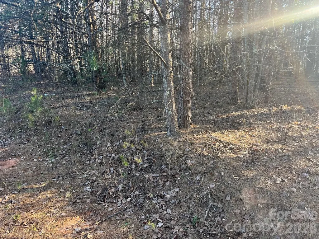 V/l Southern Way Nebo NC 28761