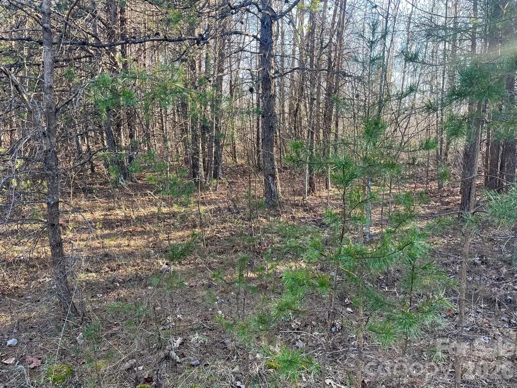 V/l Southern Way Nebo NC 28761
