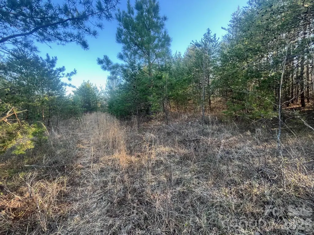 V/l Southern Way Nebo NC 28761