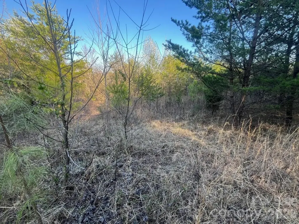 V/l Southern Way Nebo NC 28761
