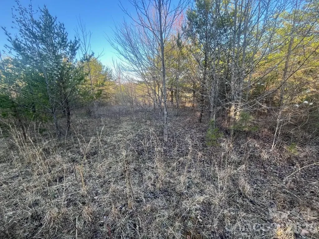 V/l Southern Way Nebo NC 28761