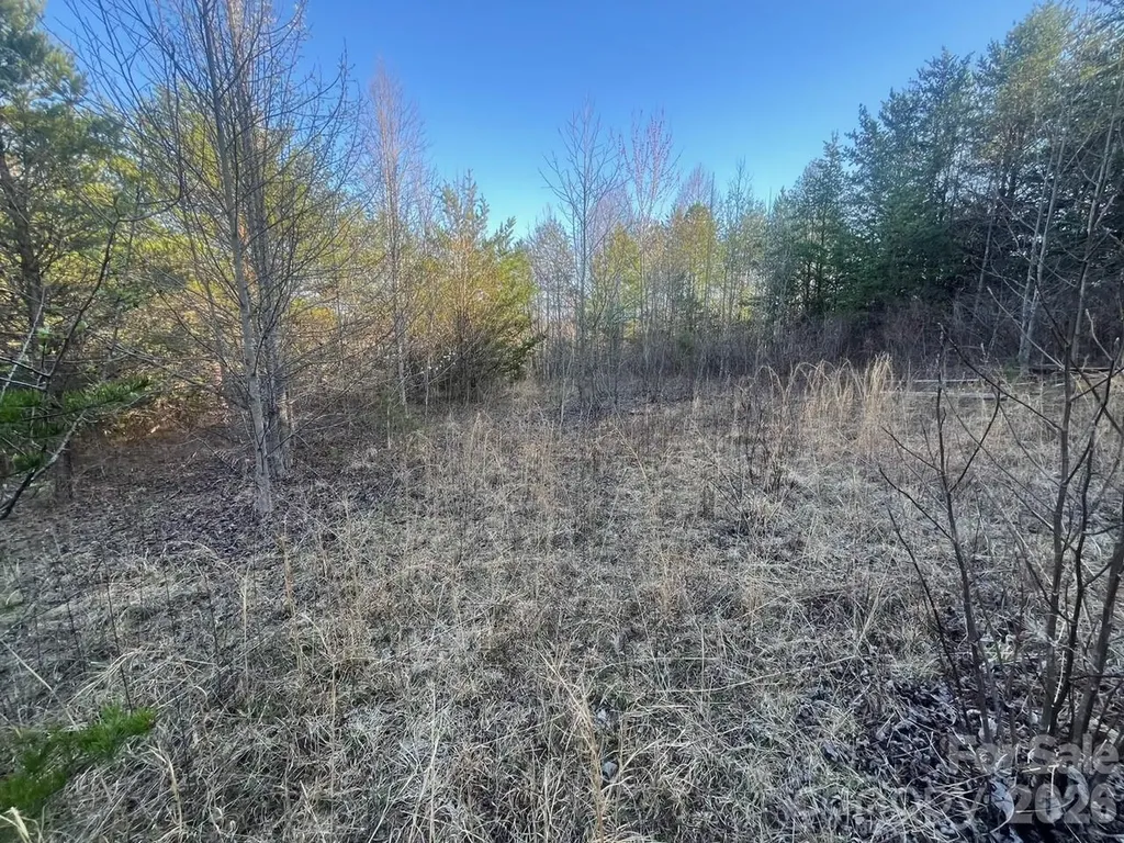 V/l Southern Way Nebo NC 28761