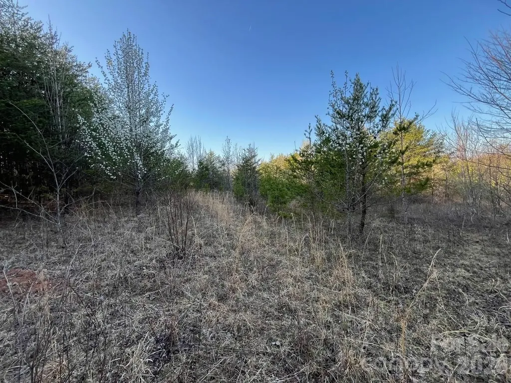 V/l Southern Way Nebo NC 28761