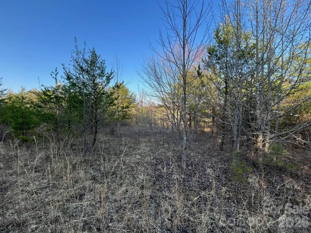 V/l Southern Way Nebo NC 28761