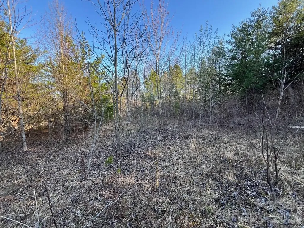 V/l Southern Way Nebo NC 28761