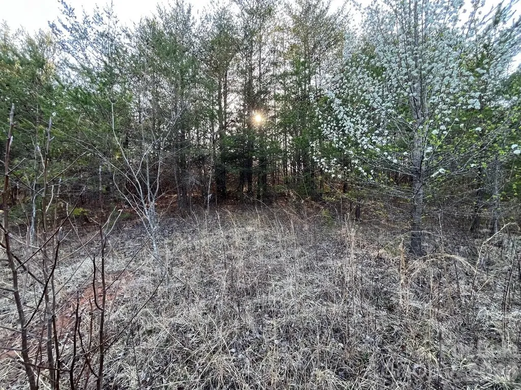 V/l Southern Way Nebo NC 28761