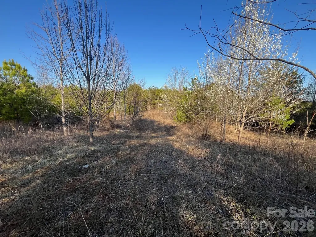V/l Southern Way Nebo NC 28761