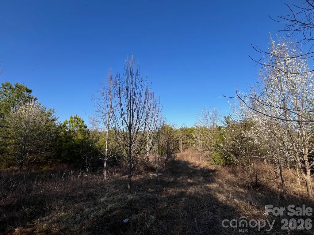 V/l Southern Way Nebo NC 28761