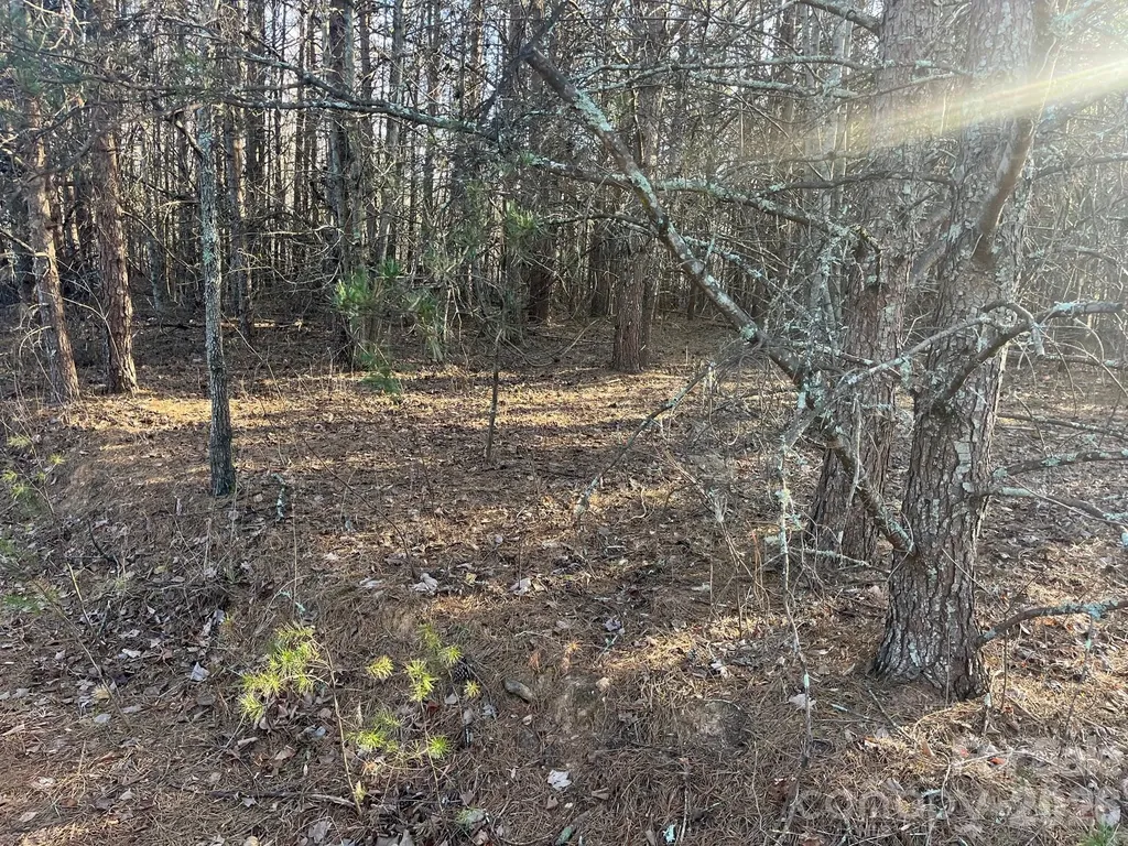 V/l Southern Way Nebo NC 28761