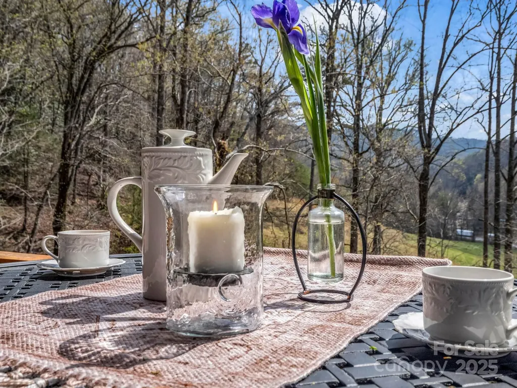 107 Twisted Birch Drive Hendersonville NC 28792