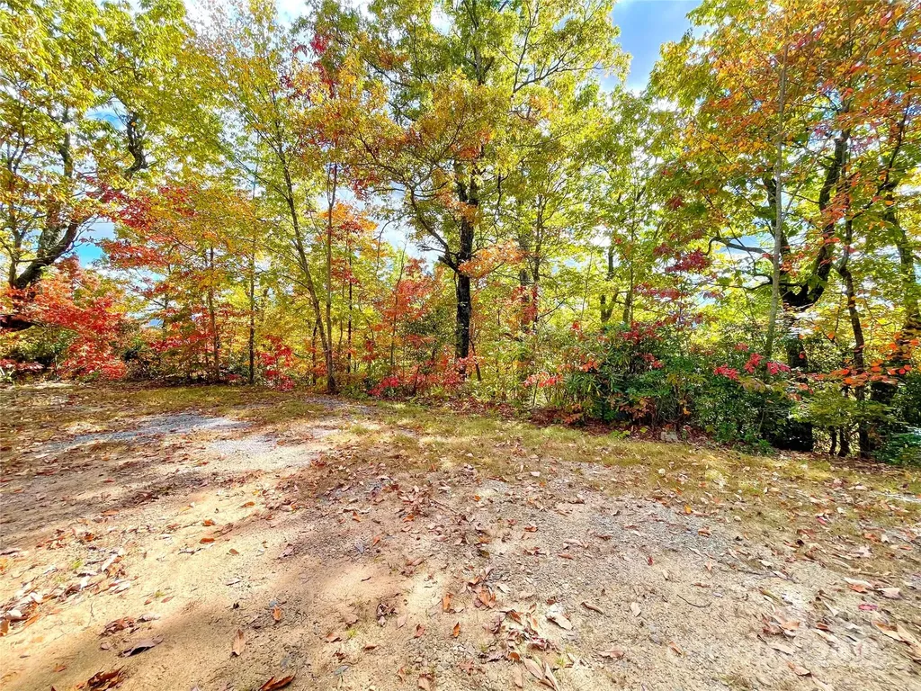 57 Grouse Ridge Drive Black Mountain NC 28711